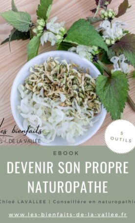 Ebook-bienfaits-de-la-vallee