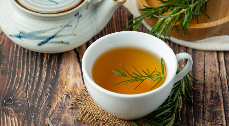 tisane romarin